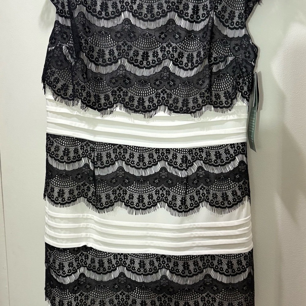 Elegant Black and White Lace Dress​ - Picture 2 of 5